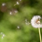 fond-docsdepub.com (2)