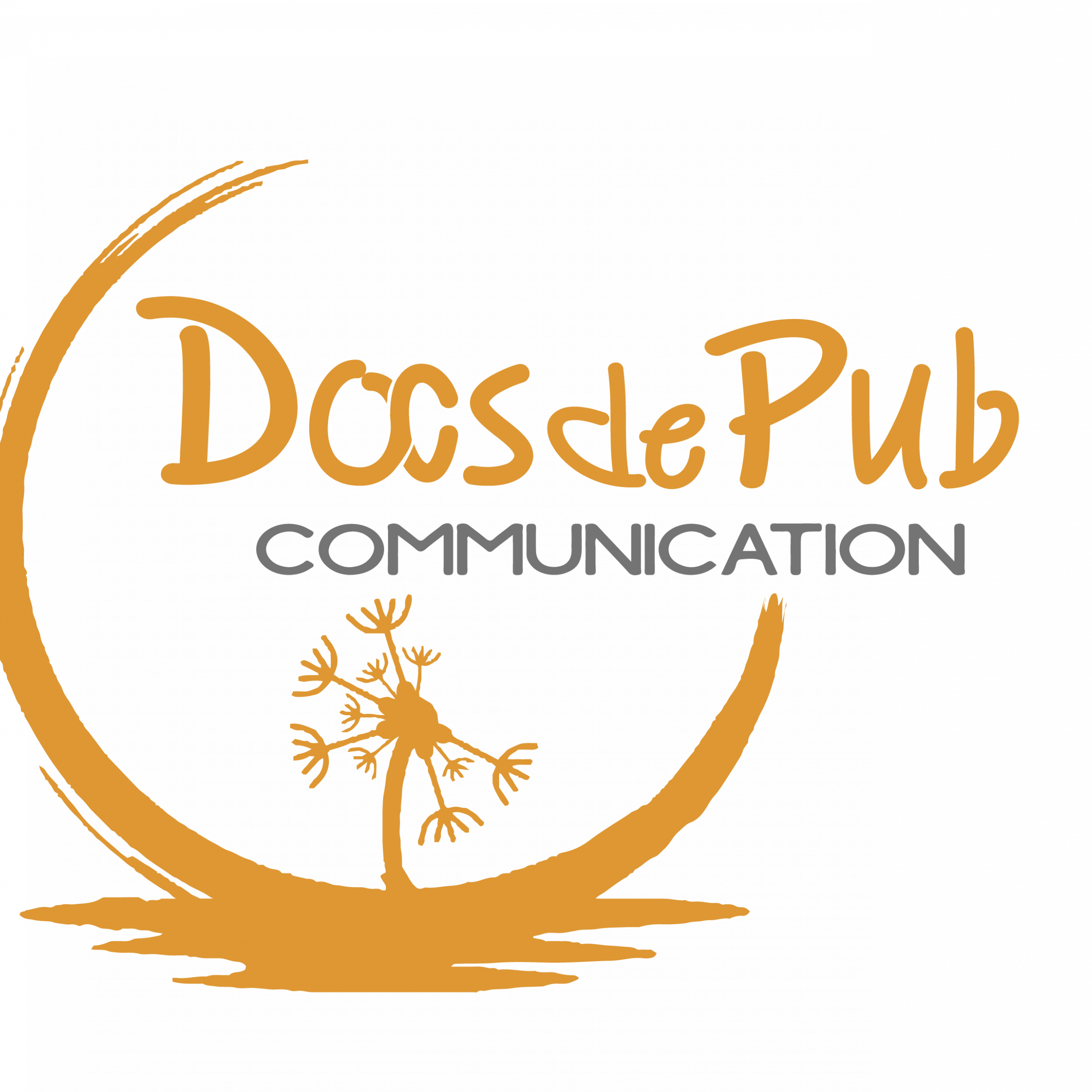 logo+ docsdepub-carré